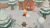 Animal Crossing: New Horizons[NINTENDO SWITCH]
